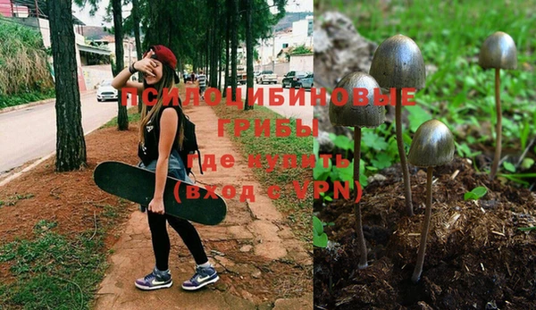 соль курить ск Алексин