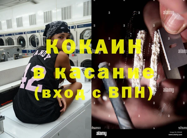 эйфоретик Алзамай
