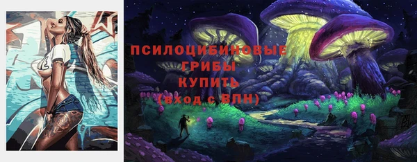 бошки Алексеевка