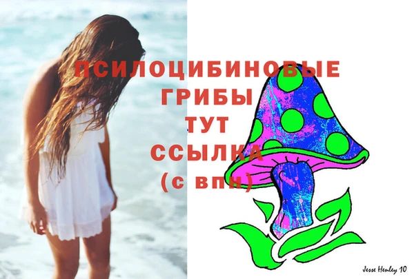Альфа ПВП Надым