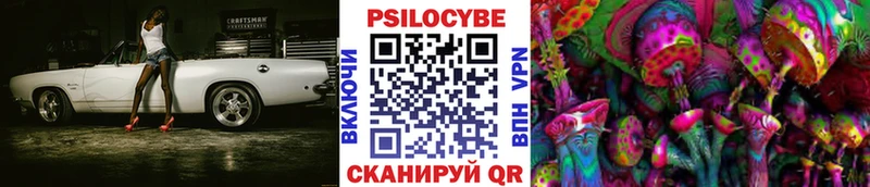 Галлюциногенные грибы Magic Shrooms  Нижний Новгород 