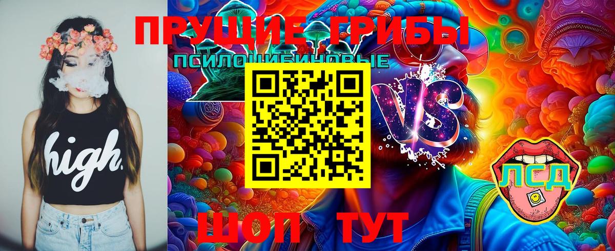 Галлюциногенные грибы Magic Shrooms Нижний Новгород