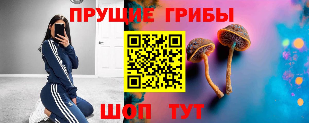 Псилоцибиновые грибы прущие грибы  Вход с VPN  Нижний Новгород 